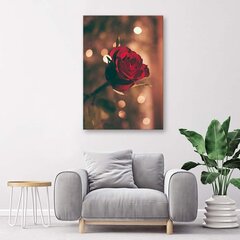 Seinapilt Punane lill hind ja info | Seinapildid | kaup24.ee