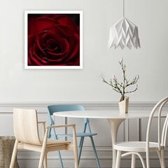 Seinapilt Punased roosid цена и информация | Картины, живопись | kaup24.ee