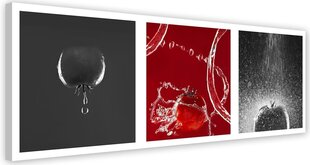 Репродукция припечаток, помидор  цена и информация | Картины, живопись | kaup24.ee