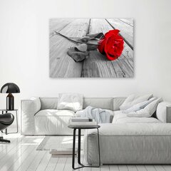 Seinapilt Punane roos hind ja info | Seinapildid | kaup24.ee