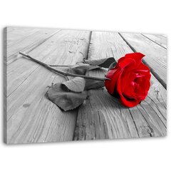 Seinapilt Punane roos hind ja info | Seinapildid | kaup24.ee