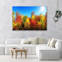 Печать холста, Осенние деревья 59,99 цена и информация | Картины, живопись | kaup24.ee