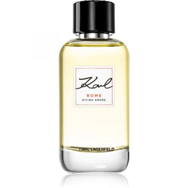 Naiste parfüüm Karl Lagerfeld Rome Divino Amore EDP, 100 ml hind ja info | Naiste parfüümid | kaup24.ee