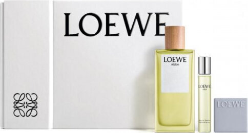 Komplekt Loewe Komplekt Agua Loewe naistele: tualettvesi EDT, 150ml + 20ml цена и информация | Naiste parfüümid | kaup24.ee