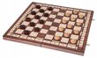 Puidust male, kabe ja triktrak Backgammon, 40 x 40 cm цена и информация | Lauamängud ja mõistatused | kaup24.ee