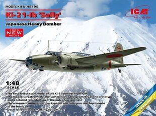  Сборная пластиковая модель. ICM - Mitsubishi Ki-21-Ib Sally Japanese Heavy Bomber, 1/48, 48195 цена и информация | Склеиваемые модели | kaup24.ee