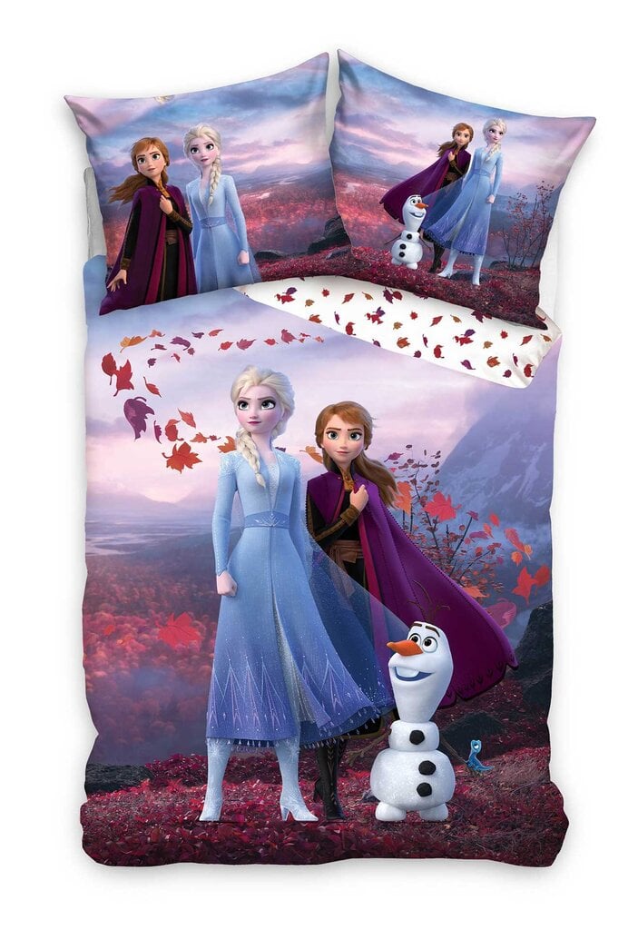 Laste voodipesukomplekt Frozen 150 x 210 cm, padjapüür 50 x 60 cm hind ja info | Beebide ja laste voodipesu | kaup24.ee