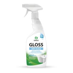 Чистящее средство для ванной комнаты Gloss, 600 мл. цена и информация | Очистители | kaup24.ee
