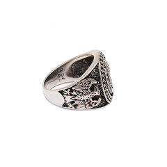 Серебряное кольцо SGMHY-131 цена и информация | Кольцо | kaup24.ee