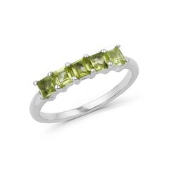 Серебряное (925) кольцо с драгоценными камнями, код ah5583-13 AH5583-13EU-57 цена и информация | Кольцо | kaup24.ee