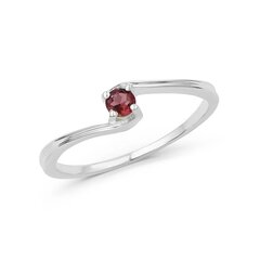 Серебряное (925) кольцо с драгоценными камнями, код ah5133-48 AH5133-48EU-54 цена и информация | Кольцо | kaup24.ee