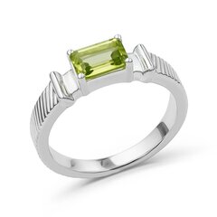 Серебряное (925) кольцо с драгоценными камнями, код ah5120-13 AH5120-13EU-57 цена и информация | Кольцо | kaup24.ee