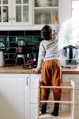 Köögitorn, Babylike DMM, puidust hind ja info | Laste lauad ja toolid | kaup24.ee