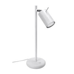 Table lamp RING white BITTERSWEET SHIMMER SL.1090 цена и информация | Настольная лампа | kaup24.ee