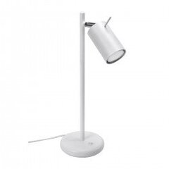 Table lamp RING white BITTERSWEET SHIMMER SL.1090 цена и информация | Настольные лампы | kaup24.ee