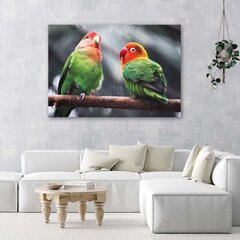 Seinapilt Värvilised papagoid цена и информация | Картины, живопись | kaup24.ee