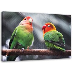 Seinapilt Värvilised papagoid hind ja info | Seinapildid | kaup24.ee