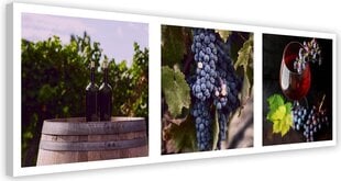 Репродукция магия виноградника  цена и информация | Картины, живопись | kaup24.ee