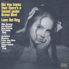 Виниловая пластинка Lana Del Rey Did You Know That There's A Tunnel Under Ocean цена и информация | Виниловые пластинки, CD, DVD | kaup24.ee