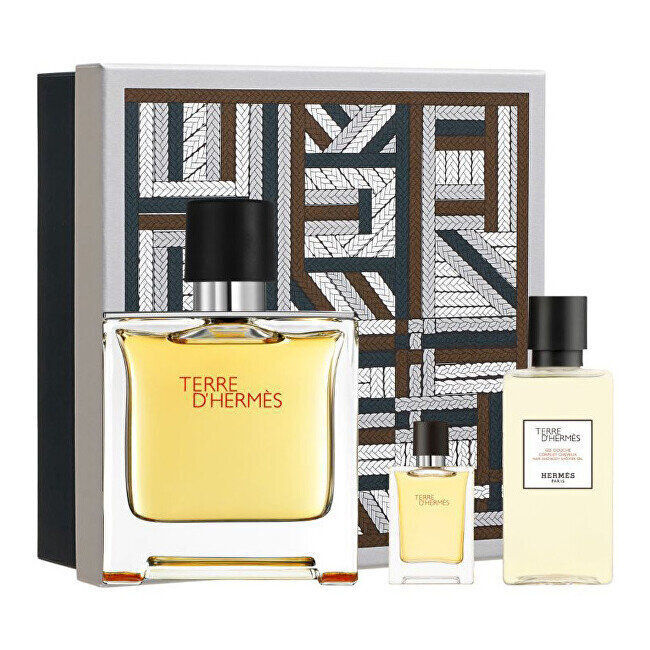 Komplekt meestele Terre D' Hermes: parfüümvesi, 75 ml + dušigeel, 40 ml + parfüümvesi, 5 ml цена и информация | Meeste parfüümid | kaup24.ee