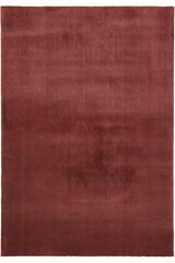 Vaip Finesto, 160 x 230 cm, punane hind ja info | Vaibad | kaup24.ee