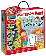 Õppeotstarbeline mäng Lisciani Montessori Baby Raffy Grow&Play цена и информация | Развивающие игрушки | kaup24.ee