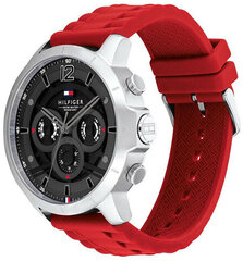 Мужские часы Tommy Hilfiger 1710490 цена и информация | Мужские часы | kaup24.ee