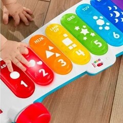 Музыкальная игрушка, большой развивающий ксилофон цена и информация | Игрушки для малышей | kaup24.ee