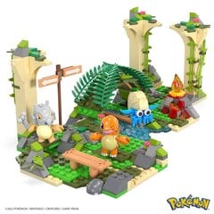 Pokémon Jungle Ruins hind ja info | Klotsid ja konstruktorid | kaup24.ee