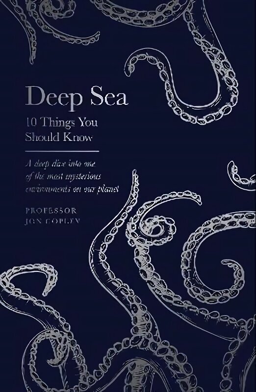 Deep Sea: 10 Things You Should Know цена и информация | Majandusalased raamatud | kaup24.ee