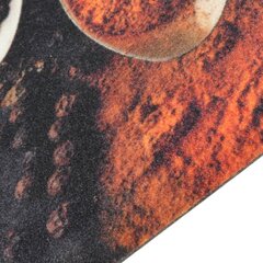 vidaXL köögivaip, pestav, lusikad ja vürtsid, 60 x 300 cm, samet цена и информация | Коврики | kaup24.ee