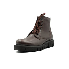 Ботинки мужские Rylko IPSH77G1HC, коричневые цена и информация | Мужские ботинки | kaup24.ee