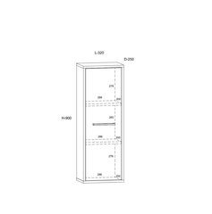 Riiul Boss, valge/must hind ja info | Riiulid | kaup24.ee