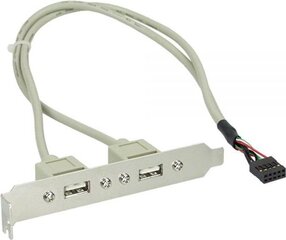 InLine USB 2.0 Slot Bracket 2x USB Type A female to 1x 10Pin Connector 35cm (33391) цена и информация | Аксессуары для корпусов | kaup24.ee