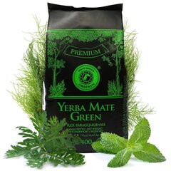 Tee Yerba Mate Green Absinth, 1000 g hind ja info | Tee | kaup24.ee