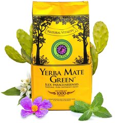 Tee Yerba Mate Green Cactus, 1000 g hind ja info | Tee | kaup24.ee