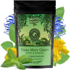 Чай Yerba Mate Green Menta Boldo, 500 г цена и информация | Чай | kaup24.ee