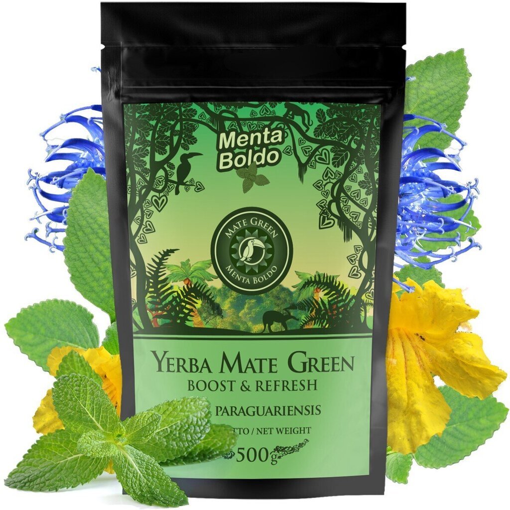 Tee Yerba Mate Green Menta Boldo, 500 g hind ja info | Tee | kaup24.ee