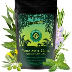 Tee Yerba Mate Green Eucalipto, 500 g hind ja info | Tee | kaup24.ee