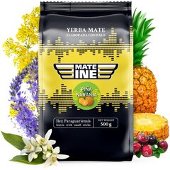 Tee Yerba Mate Mateine Pina Naranja, 500 g цена и информация | Чай | kaup24.ee