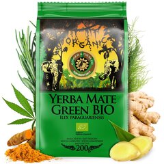 Чай Yerba Mate Bio Organic Ginger & Turmeric, 200 г цена и информация | Чай | kaup24.ee