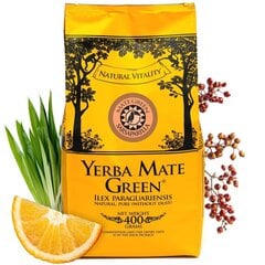 Tee Yerba Mate Green Sarsaparilla, 400 g hind ja info | Tee | kaup24.ee