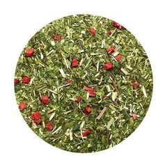Чай Yerba Mate Green Premium Ceremonial, 50 г цена и информация | Чай | kaup24.ee