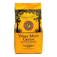 Tee Yerba Mate Green Fresa Frutilla, 400 g hind ja info | Tee | kaup24.ee