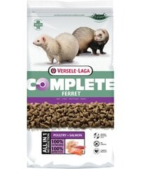 Sööt tuhkrutele Versele-Laga Ferret complete, 10 kg цена и информация | Корм для грызунов | kaup24.ee