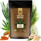 Tee Yerba Mate Bio Organic Ginger & Turmeric, 400 g hind ja info | Tee | kaup24.ee