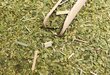 Tee Yerba Mate Bio Organic Lemongrass, 400 g цена и информация | Tee | kaup24.ee