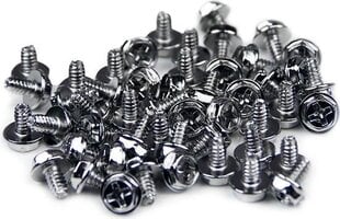 Kruvide komplekt Startech SCREW6_32 hind ja info | Lisatarvikud korpustele | kaup24.ee