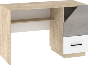 Письменный стол Pax-01, коричневый/серый цвет цена и информация | Компьютерные, письменные столы | kaup24.ee