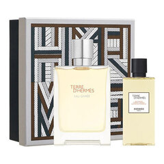 Komplekt naistele Terre d`Hermès Eau Givrée: parfüümvesi Edp, 100 ml + dušigeel, 80 ml hind ja info | Naiste parfüümid | kaup24.ee